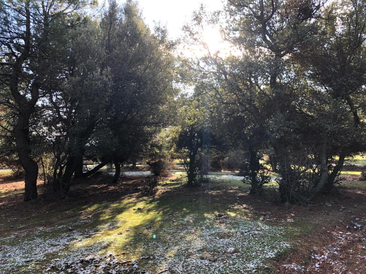 La Olma Apartamentos Guadarrama Esterno foto